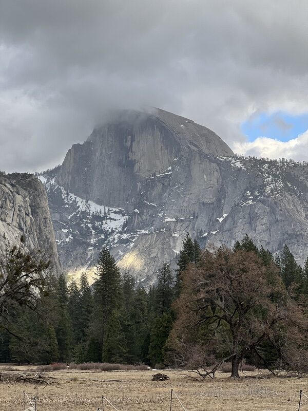 Laura Fois Blog - California Mountains